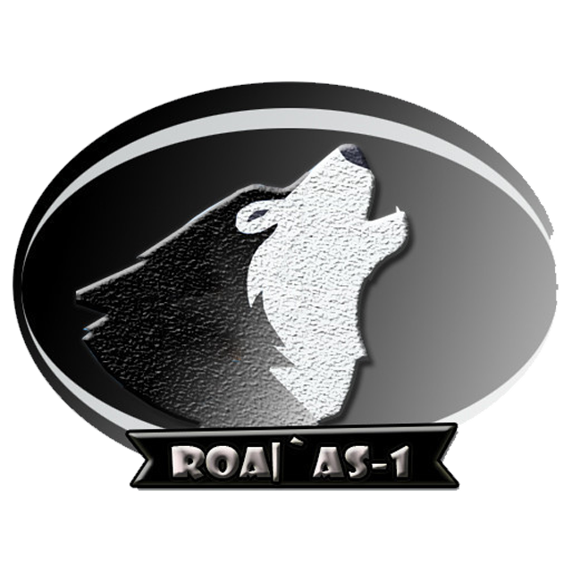 ROA - AS-1
